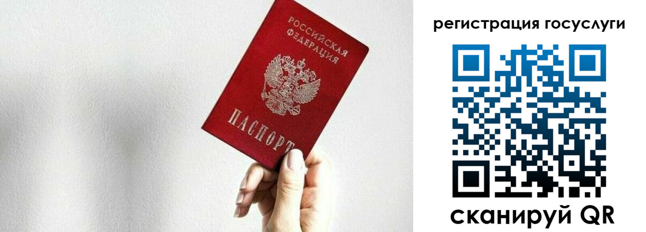 прописка гарантия в Елизово